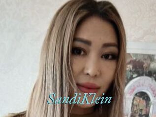 SandiKlein