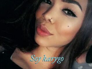 Soy_karygo