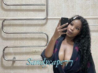 Sandycape77