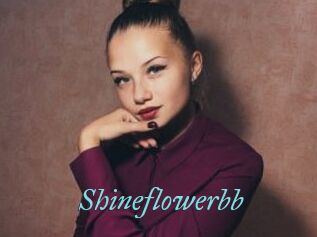 Shineflowerbb