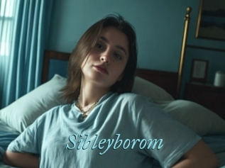 Sibleyborom