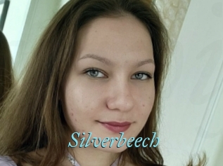 Silverbeech