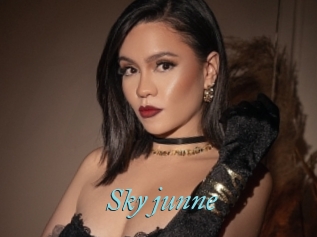 Sky_junne