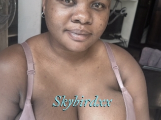 Skybirdxx