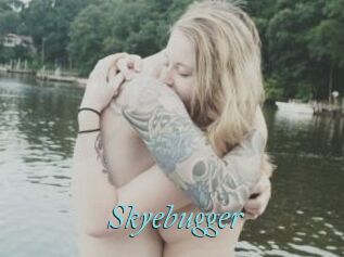 Skyebugger