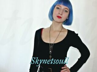 Skynetsoull