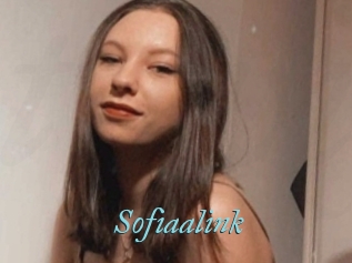 Sofiaalink