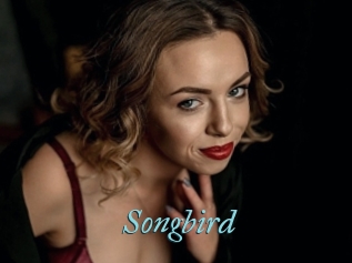 songbird Tube video jeune
