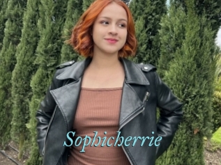 Sophicherrie
