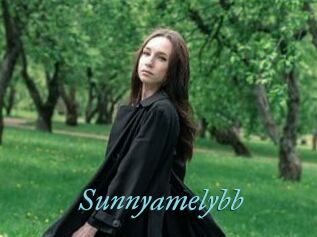 Sunnyamelybb