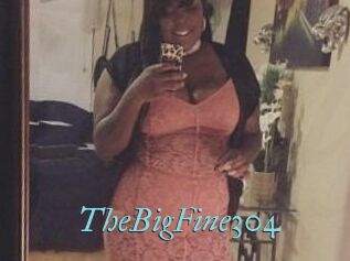 TheBigFine304