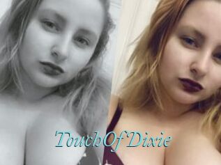 TouchOfDixie