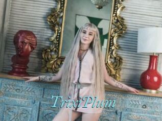 TrixiPlum