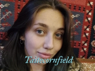 Taitecornfield