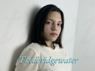 Theabridgewater