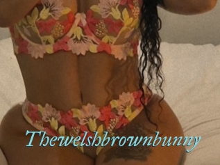Thewelshbrownbunny