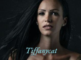 Tiffanycat
