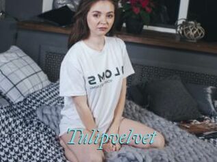 Tulipvelvet