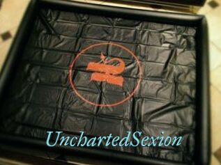 UnchartedSexion