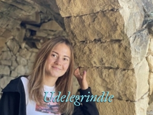 Udelegrindle