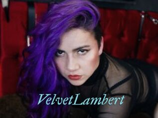 VelvetLambert