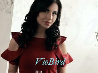 VioBird