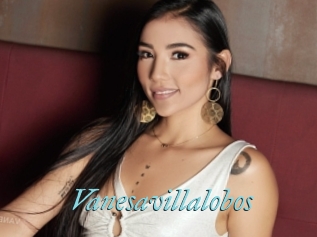 Vanesavillalobos