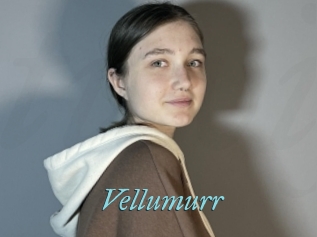Vellumurr