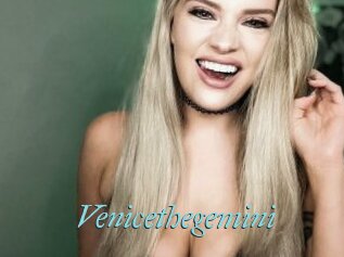 Venicethegemini