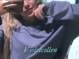Violetcollen