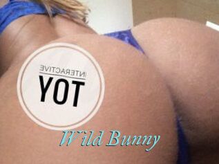 Wild_Bunny_
