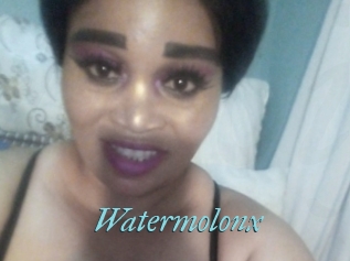 Watermolonx