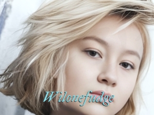 Wilonefudge