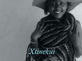 Xtinekui