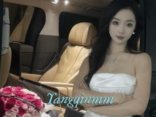 Yangqinmm